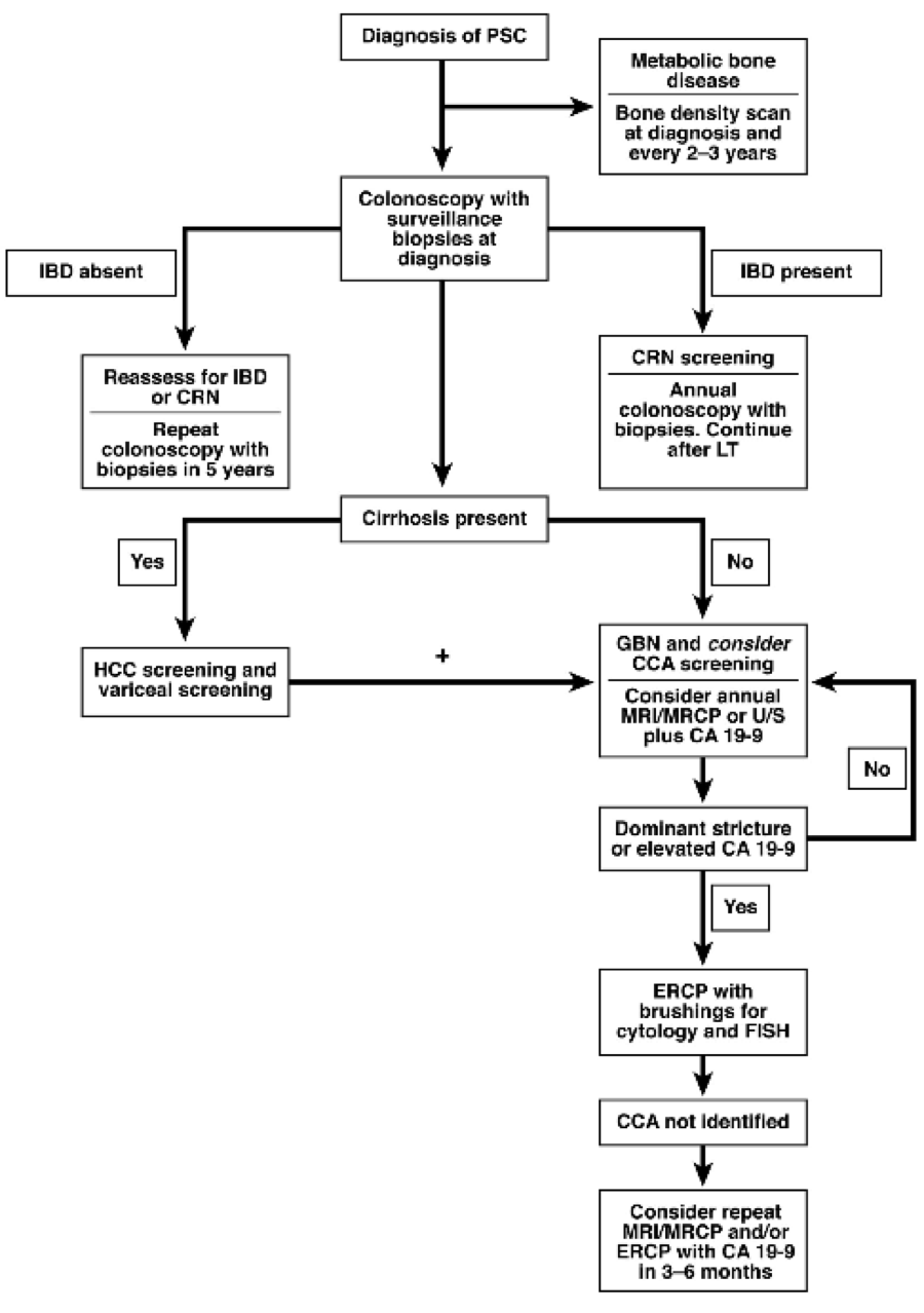 Primary Sclerosing Cholangitis Psc Texas Liver Institute